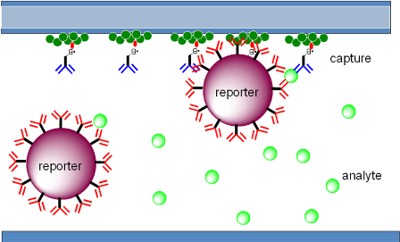 Figure 1. Blood drawn into the cartridge from capillary fill