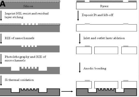 DNA chip construction