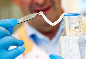 Blood vessel made from bacterial cellulose