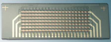 The BIOIDENT nanotiter plate