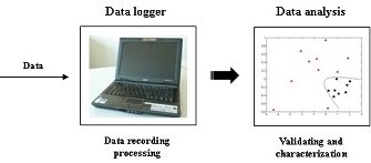 The set-up of the electronic nose