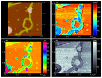 FIRAT simultaneously captures a variety of material properties from just one touch including (from upper left to right) topography, adhesion energy, contact time and stiffness.