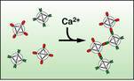 Calcium binds superparamagnetic nanoparticles coated with protein