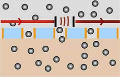 Diagram showing 'open' membrane letting glucose molecule through