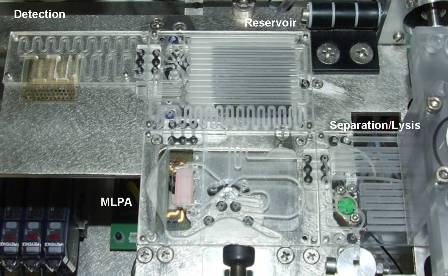 The MASCOT lab-on-chip system