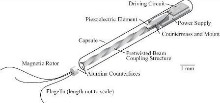 A diagram of the microbot motor