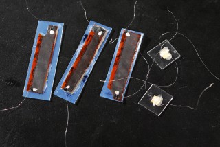 packaged nanogenerators