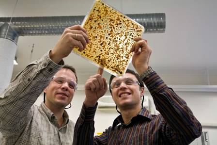 Professor Sergey Zotchev of NTNU and senior scientist Håvard Sletta of SINTEF examine bacterial cultures