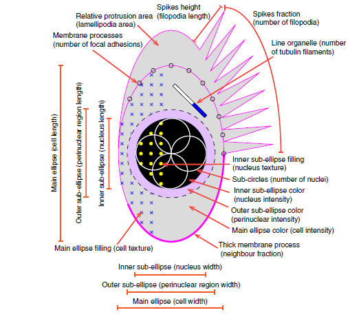 Illustration of the main visualisation elements in Phenoplot