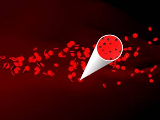 encapsulation of magnetic nanoparticles inside blood cells