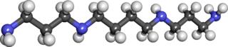 Chemical model of spermidine