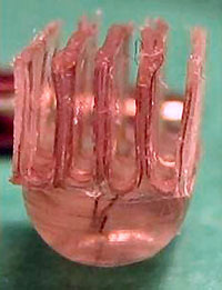 The spinal implant microchip
