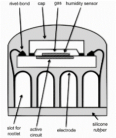 Diagram of the microchip